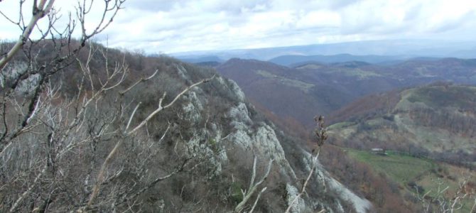 Culmea Pleșiva