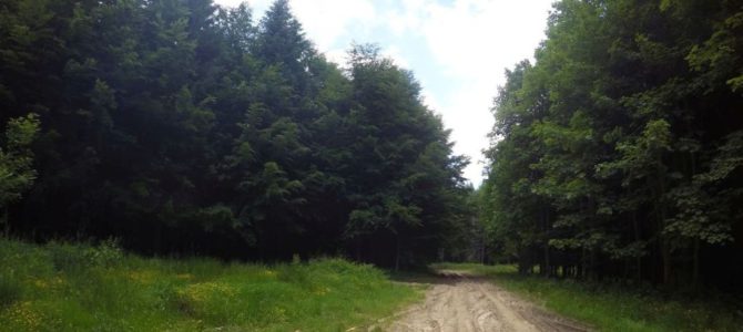 Teregova – Trei Ape