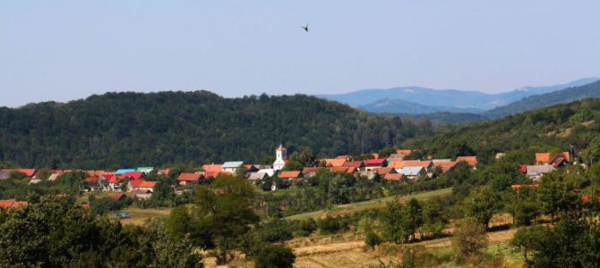 Albastru
