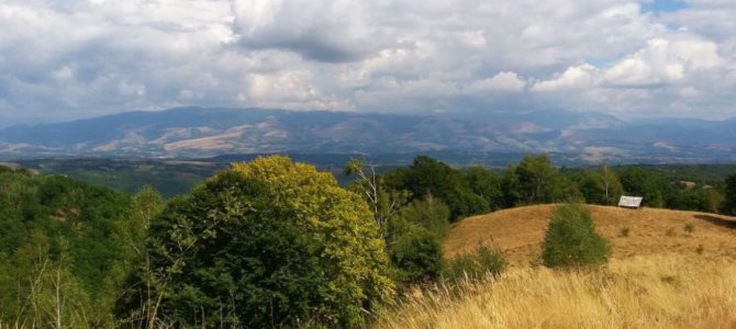 Pe dealuri bănăţene