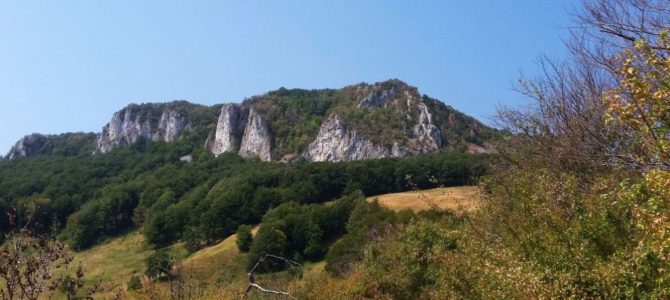 Rătăcit prin pustiu
