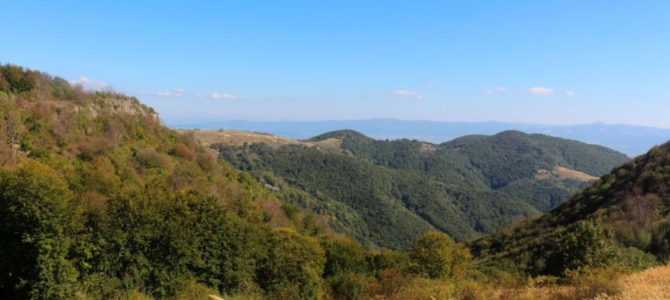 Cu gândul la Leordiș