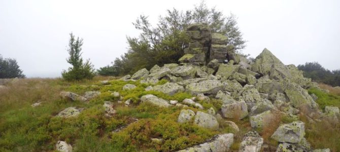 Pregheda