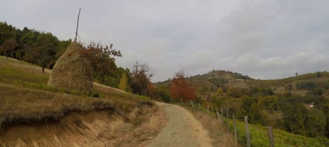 Tomnatică de Mehedinți