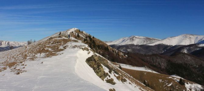 Cozia