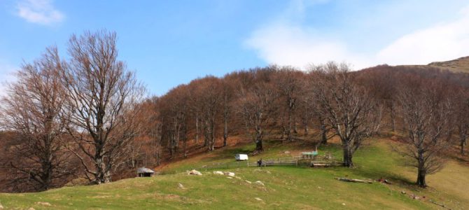 Studena Valley