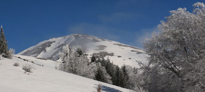 Pe Topla în sus