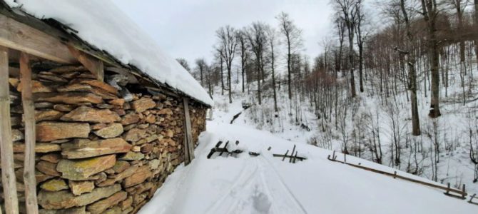 Cozia-Pietrele Albe pe schiuri de tură