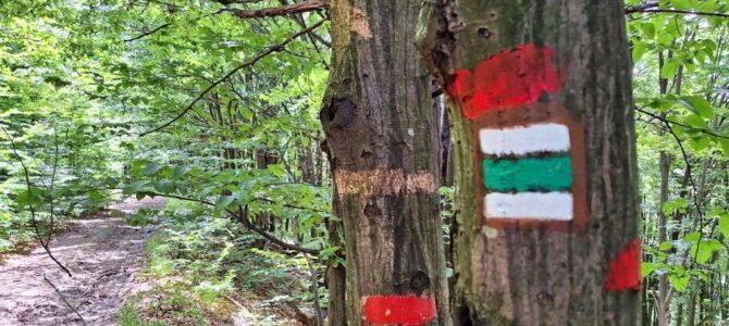 Explorând trasee neumblate pe bicicletă prin Munții Almăjului